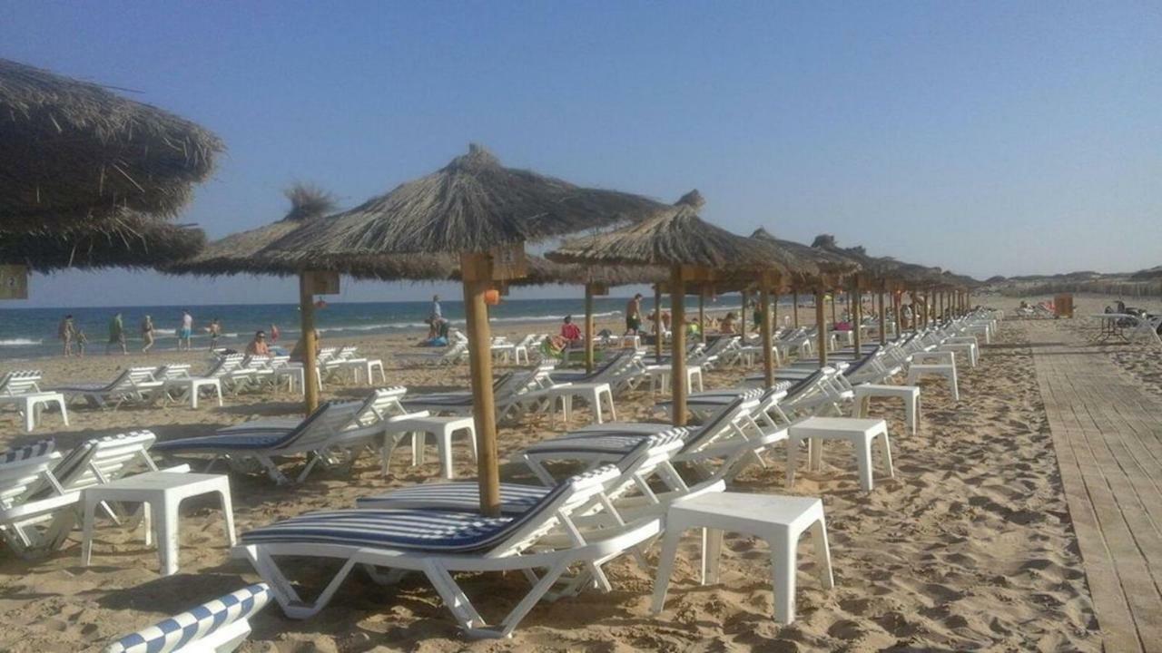 Infinity View Penthouse Apartment Arenales del Sol Dış mekan fotoğraf